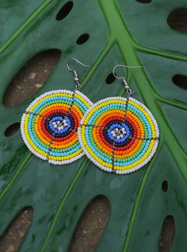 Website Earrings Rainbow One Plate